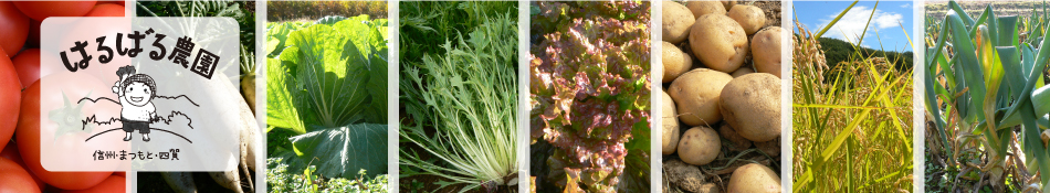 はるばる農園:ほっとするおいしさ。無農薬、無化学肥料、有機栽培の野菜とお米を、信州・松本から。/